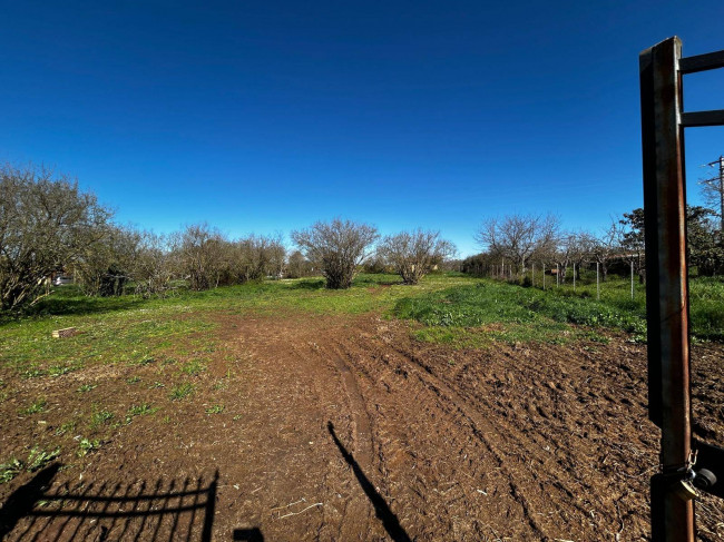 Terreno Agricolo in vendita a Bassano in Teverina