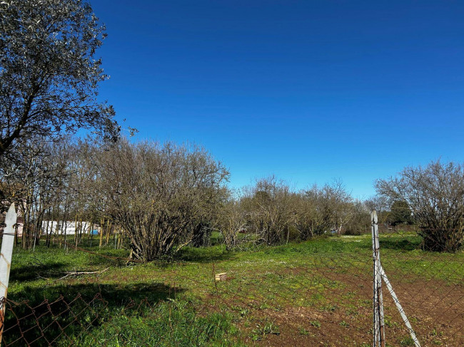 Terreno Agricolo in vendita a Bassano in Teverina
