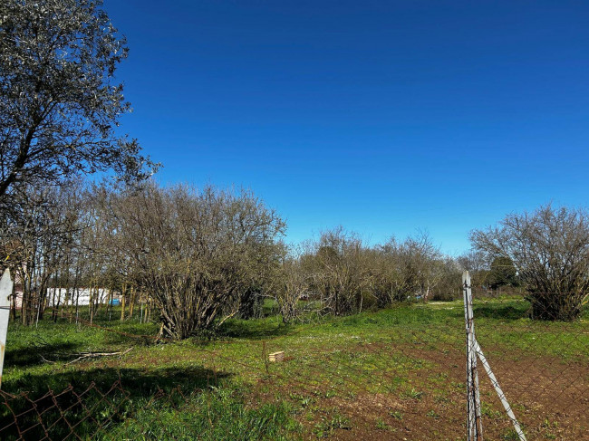 Terreno Agricolo in vendita a Bassano in Teverina
