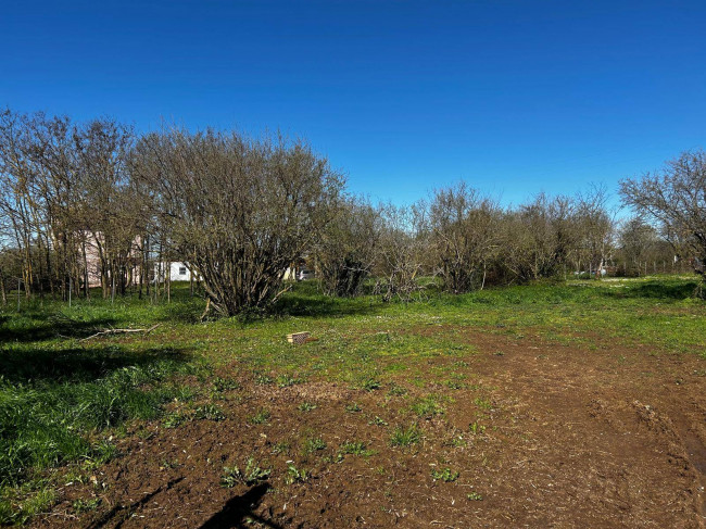 Terreno Agricolo in vendita a Bassano in Teverina