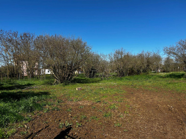 Terreno Agricolo in vendita a Bassano in Teverina