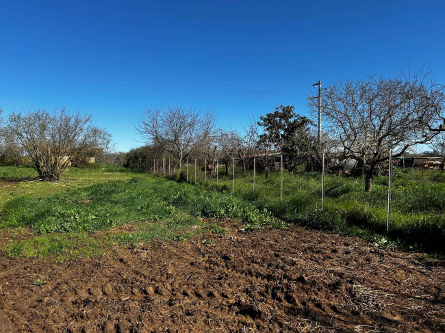 Terreno Agricolo in vendita a Bassano in Teverina