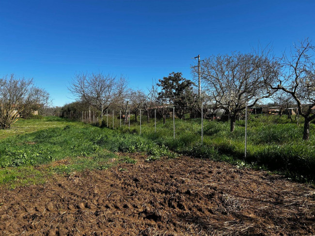 Terreno Agricolo in vendita a Bassano in Teverina