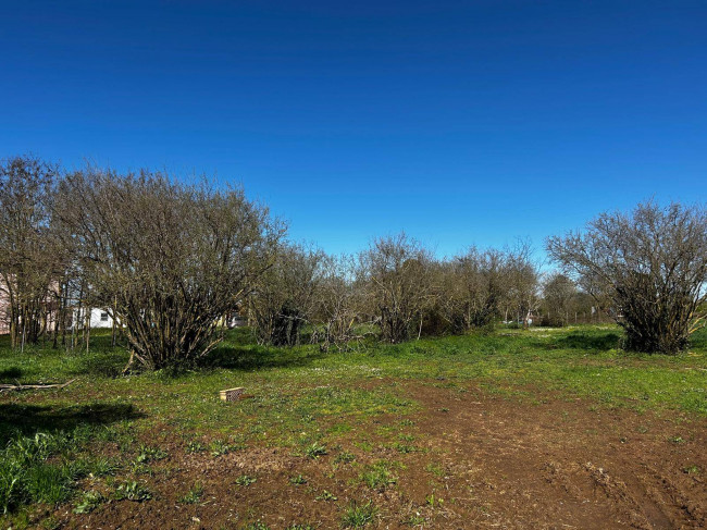 Terreno Agricolo in vendita a Bassano in Teverina
