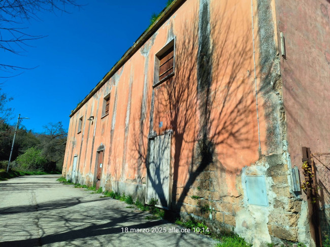 Magazzino in vendita a Vignanello