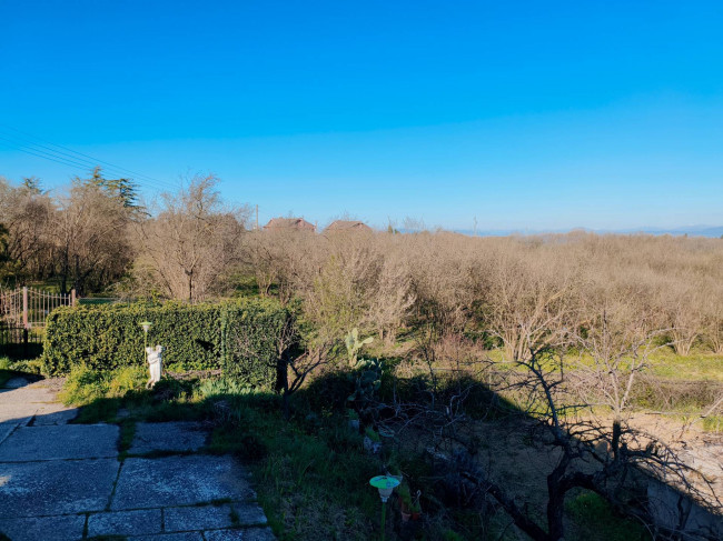 Casa singola in vendita a Vignanello