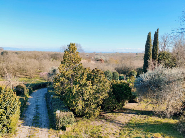 Casa singola in vendita a Vignanello