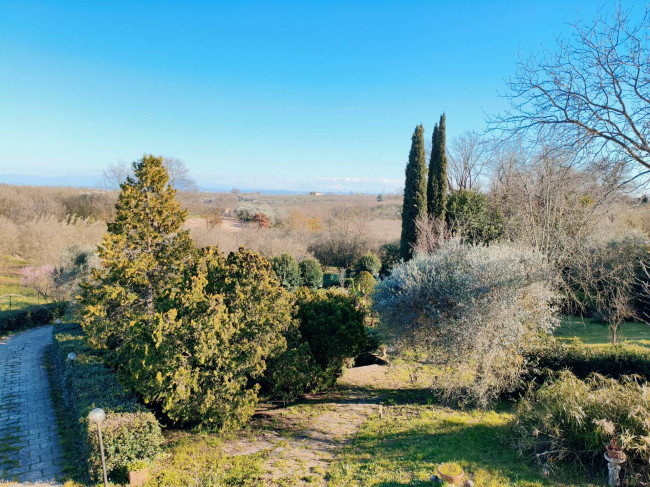 Casa singola in vendita a Vignanello
