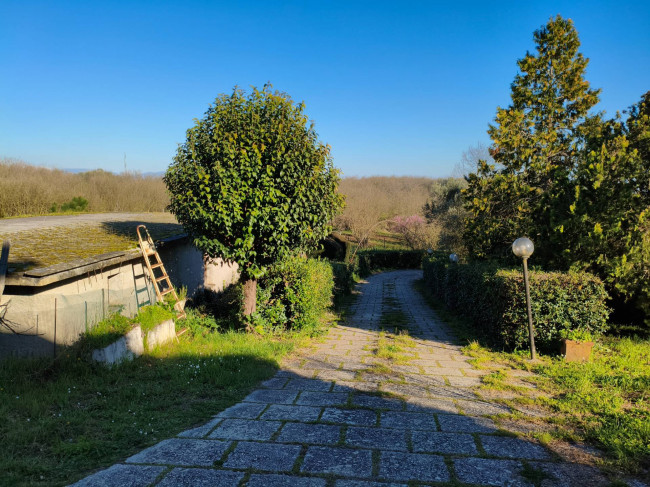 Casa singola in vendita a Vignanello