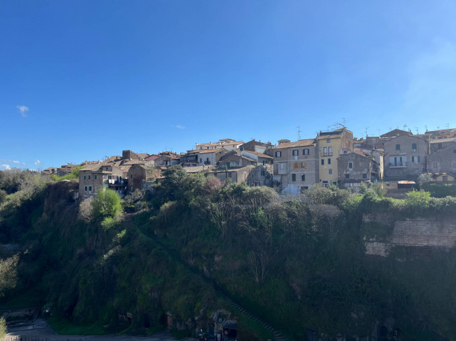 Cielo Terra in vendita a Vasanello