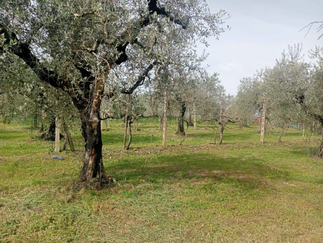Villetta Bifamiliare in vendita a Narni