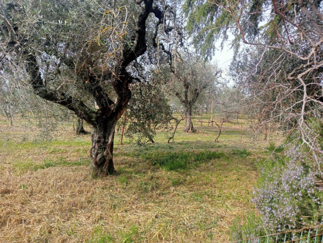 Villetta Bifamiliare in vendita a Narni