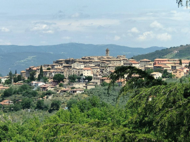 Villa in vendita a Montecchio