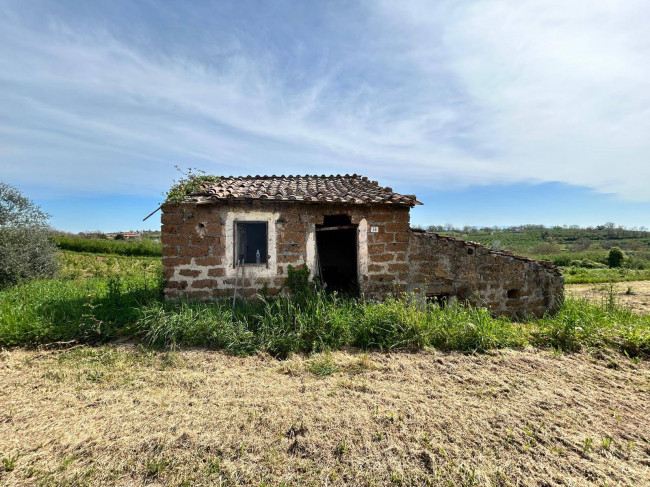 Rustico in vendita a Vasanello