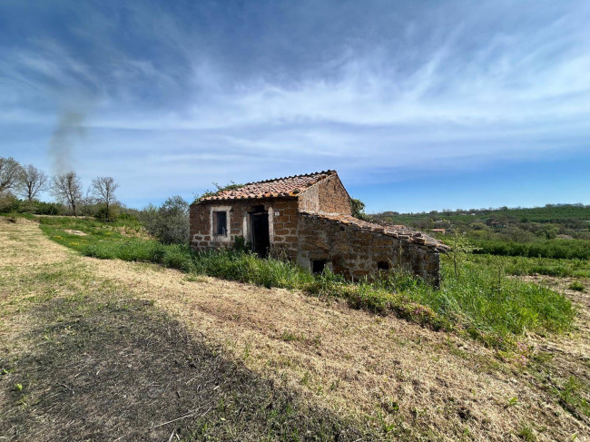 Rustico in vendita a Vasanello