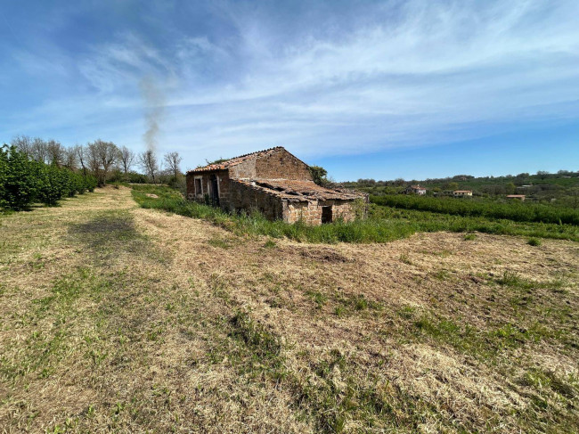 Rustico in vendita a Vasanello