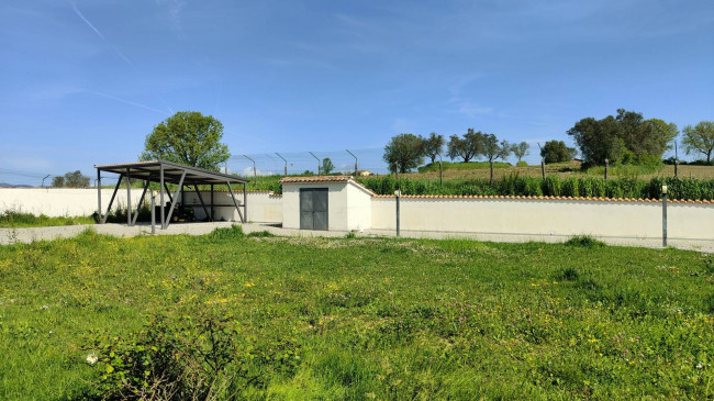 Casale in vendita a Amelia