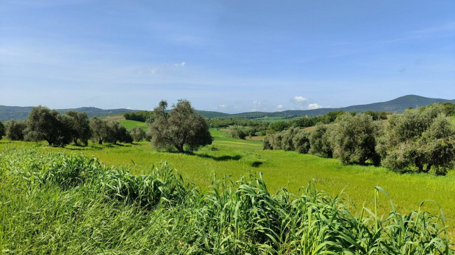 Casale in vendita a Amelia