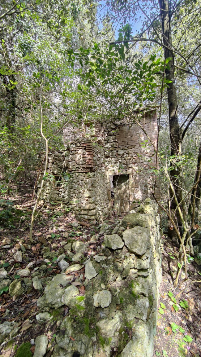 Casale in vendita a Amelia