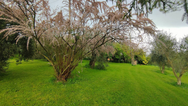 Casa singola in vendita a Amelia