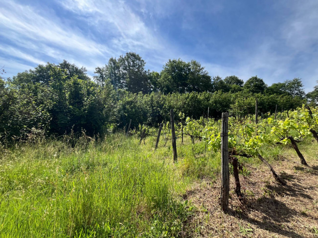 Terreno Agricolo in vendita a Bassano in Teverina