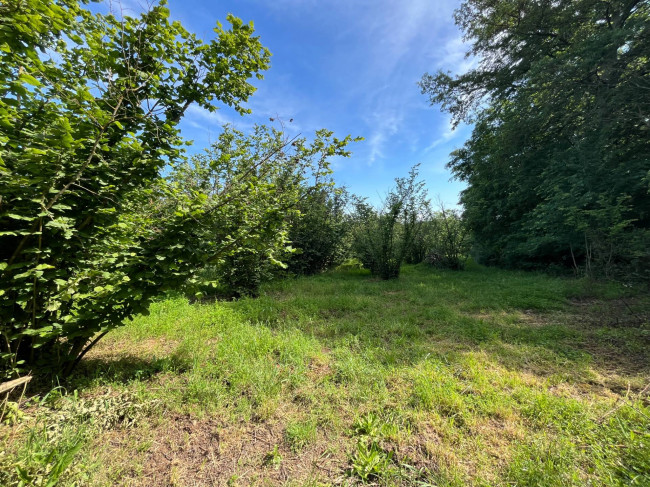 Terreno Agricolo in vendita a Bassano in Teverina
