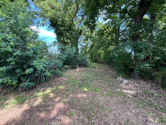 Terreno Agricolo in vendita a Bassano in Teverina