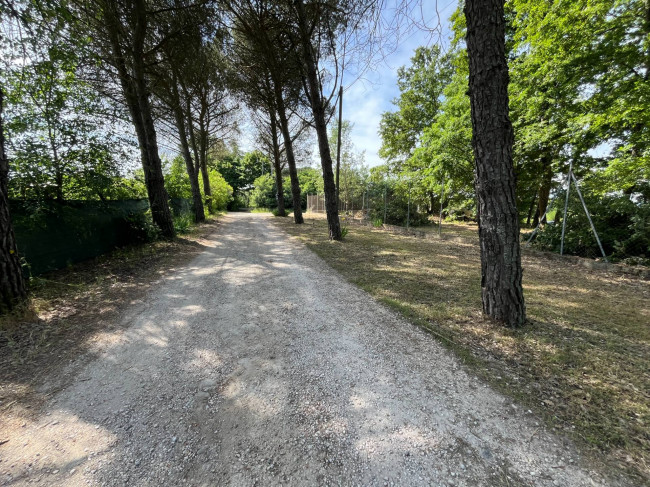 Terreno Agricolo in vendita a Bassano in Teverina