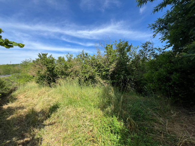 Terreno Agricolo in vendita a Bassano in Teverina