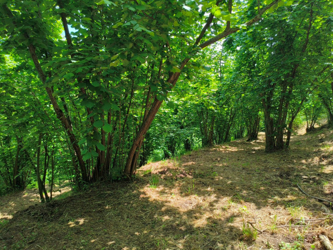 Rustico in vendita a Soriano nel Cimino