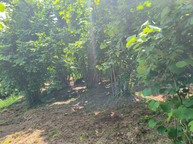 Rustico in vendita a Soriano nel Cimino