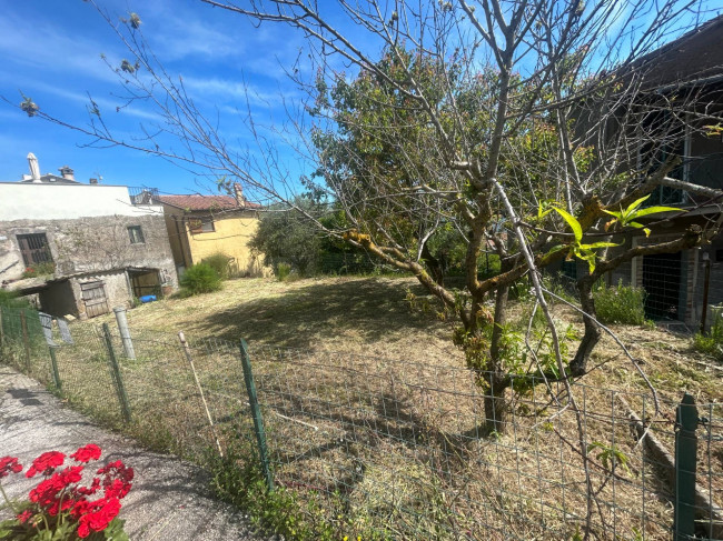 Terreno Agricolo in vendita a Bassano in Teverina