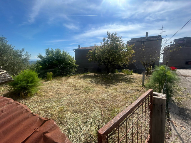Terreno Agricolo in vendita a Bassano in Teverina