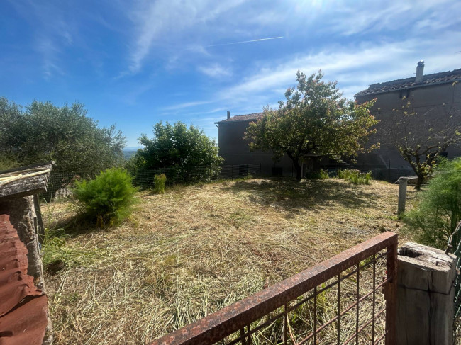 Terreno Agricolo in vendita a Bassano in Teverina