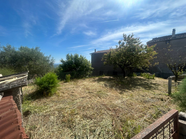 Terreno Agricolo in vendita a Bassano in Teverina