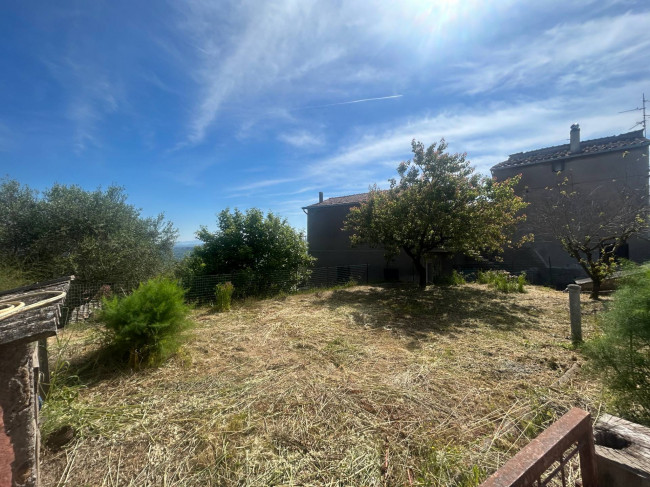 Terreno Agricolo in vendita a Bassano in Teverina