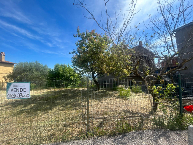 Terreno Agricolo in vendita a Bassano in Teverina