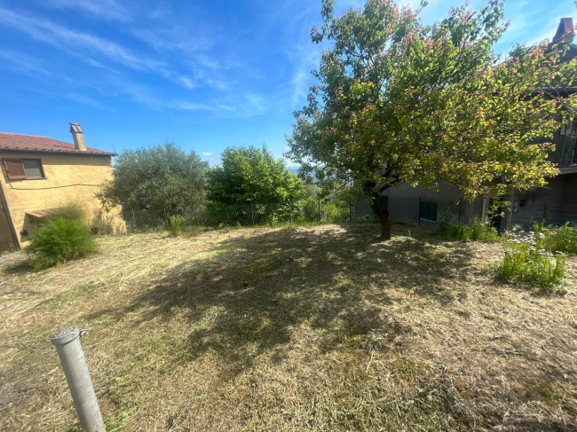 Terreno Agricolo in vendita a Bassano in Teverina