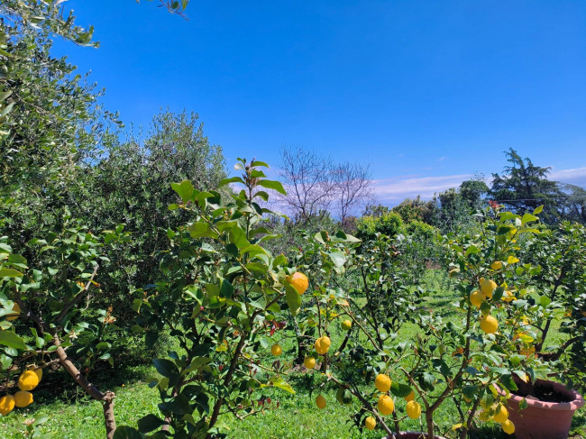 Villa in vendita a Soriano nel Cimino