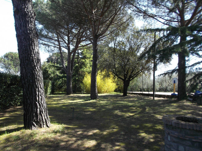 Villa in vendita a Viterbo