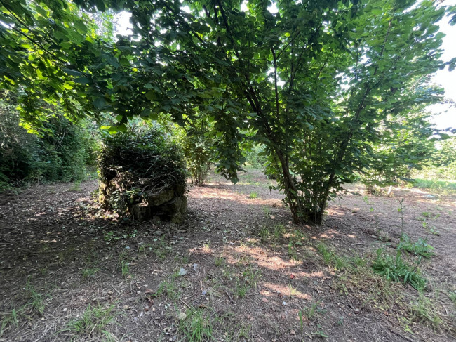 Terreno Agricolo in vendita a Bassano in Teverina