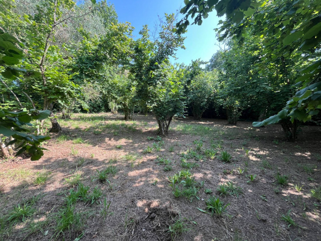 Terreno Agricolo in vendita a Bassano in Teverina