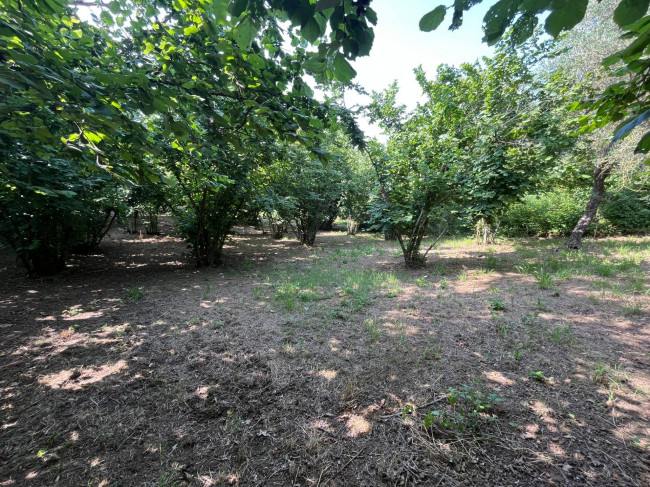 Terreno Agricolo in vendita a Bassano in Teverina