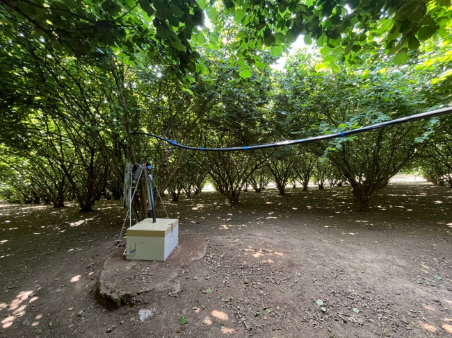 Terreno Agricolo in vendita a Bassano in Teverina
