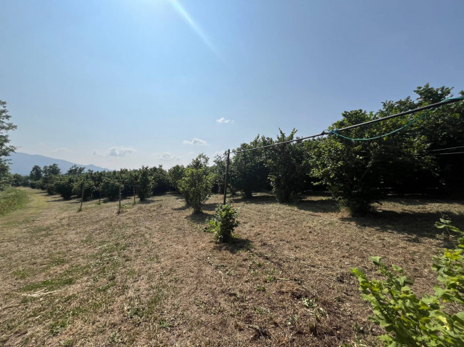 Terreno Agricolo in vendita a Bassano in Teverina