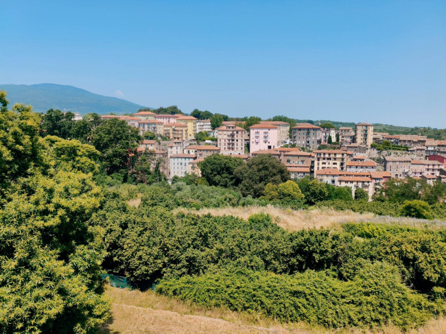 Appartamento in vendita a Vignanello