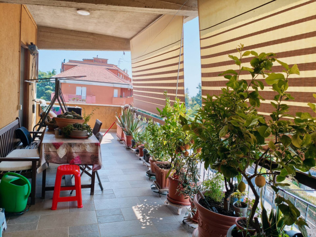 Appartamento in vendita a Vignanello