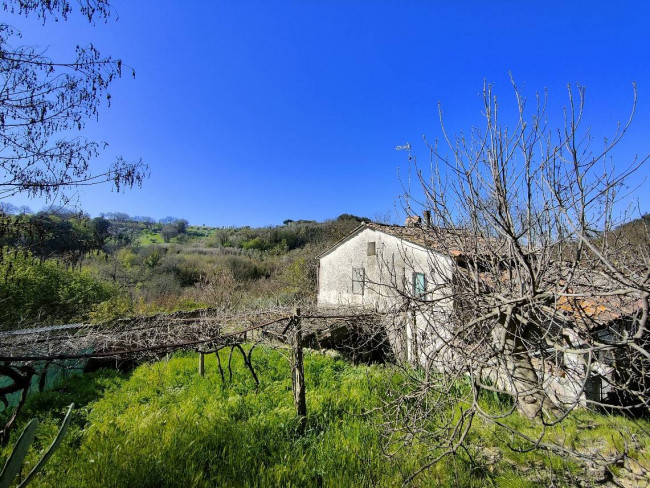 Casale in vendita a Amelia