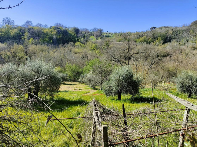 Casale in vendita a Amelia