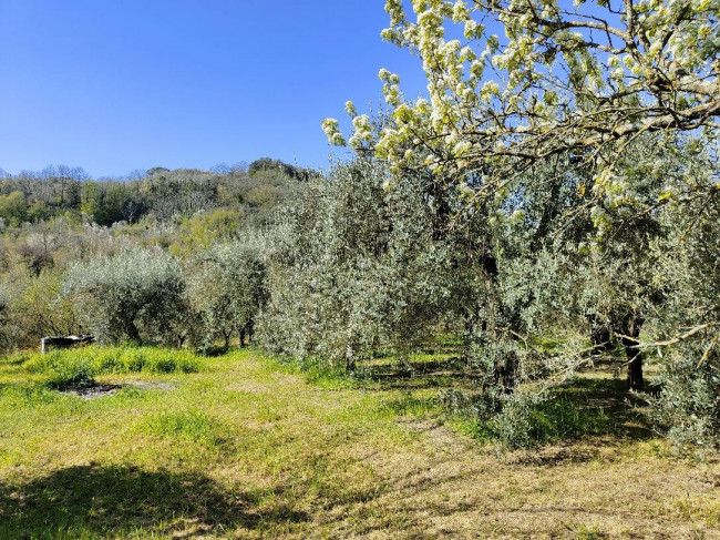 Casale in vendita a Amelia